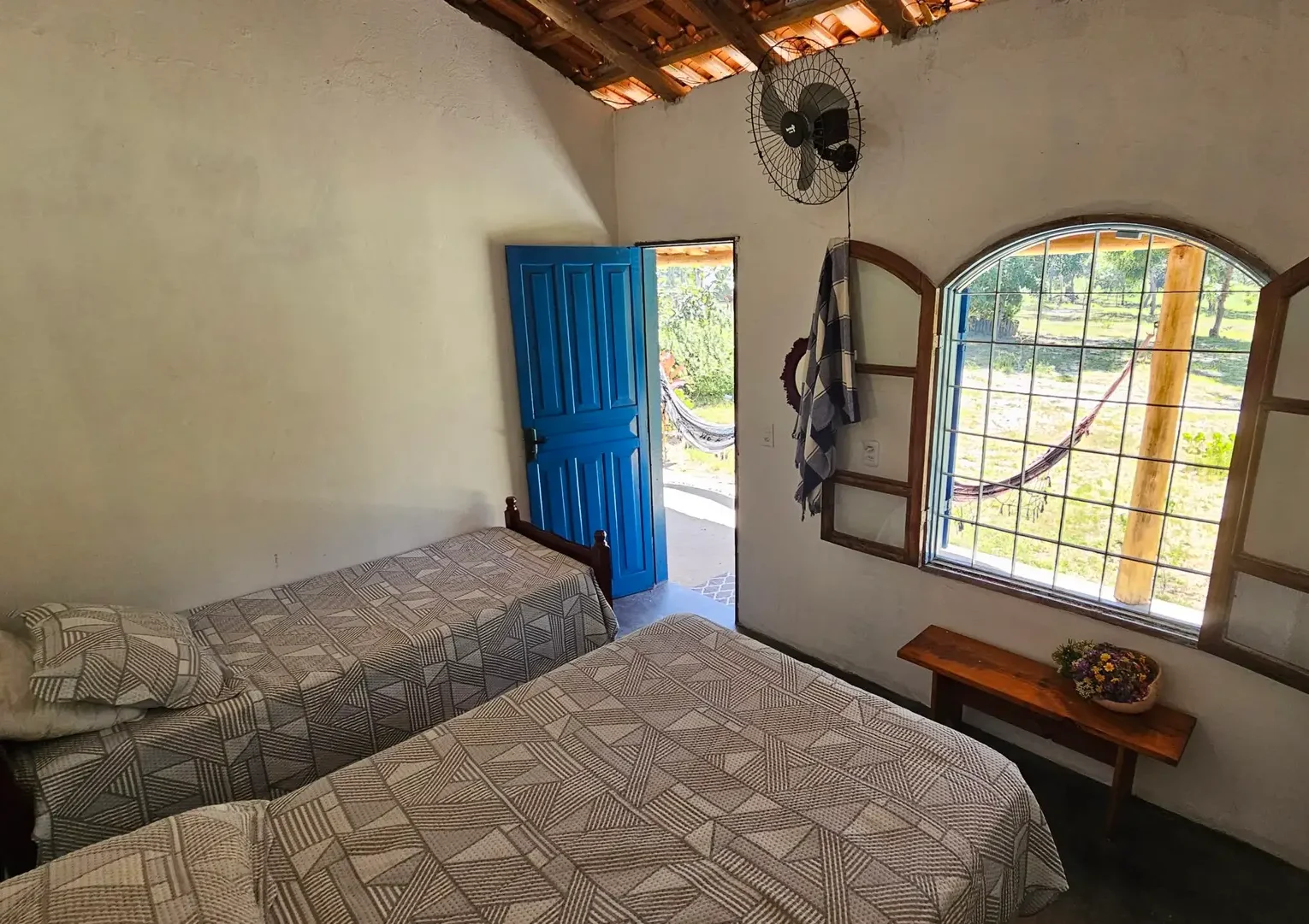 20250309_103807 (1) - Copia - Copia