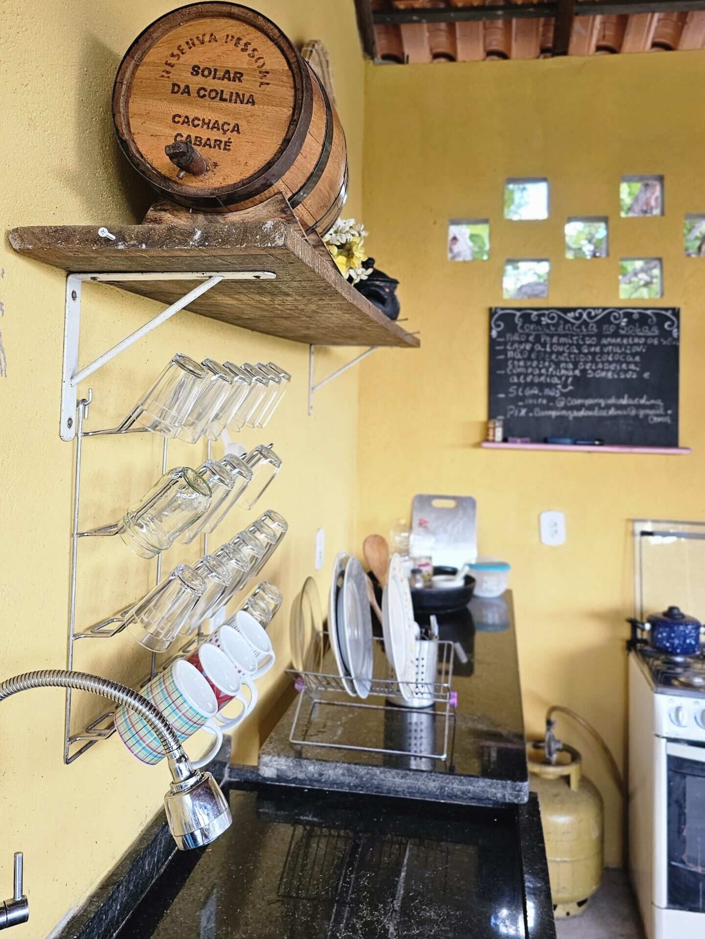 20250305_150949 (1) - Copia - Copia