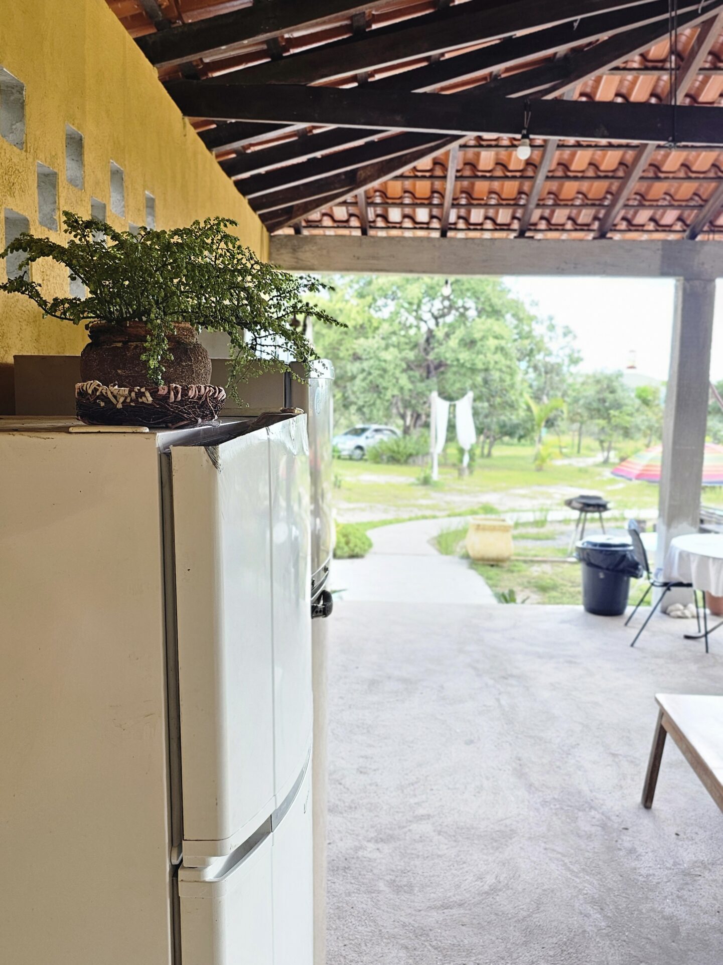 20250305_151132 (2) - Copia