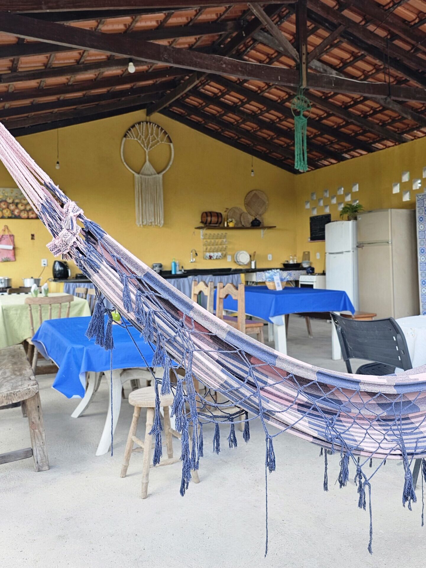 20250305_151456 (1) - Copia