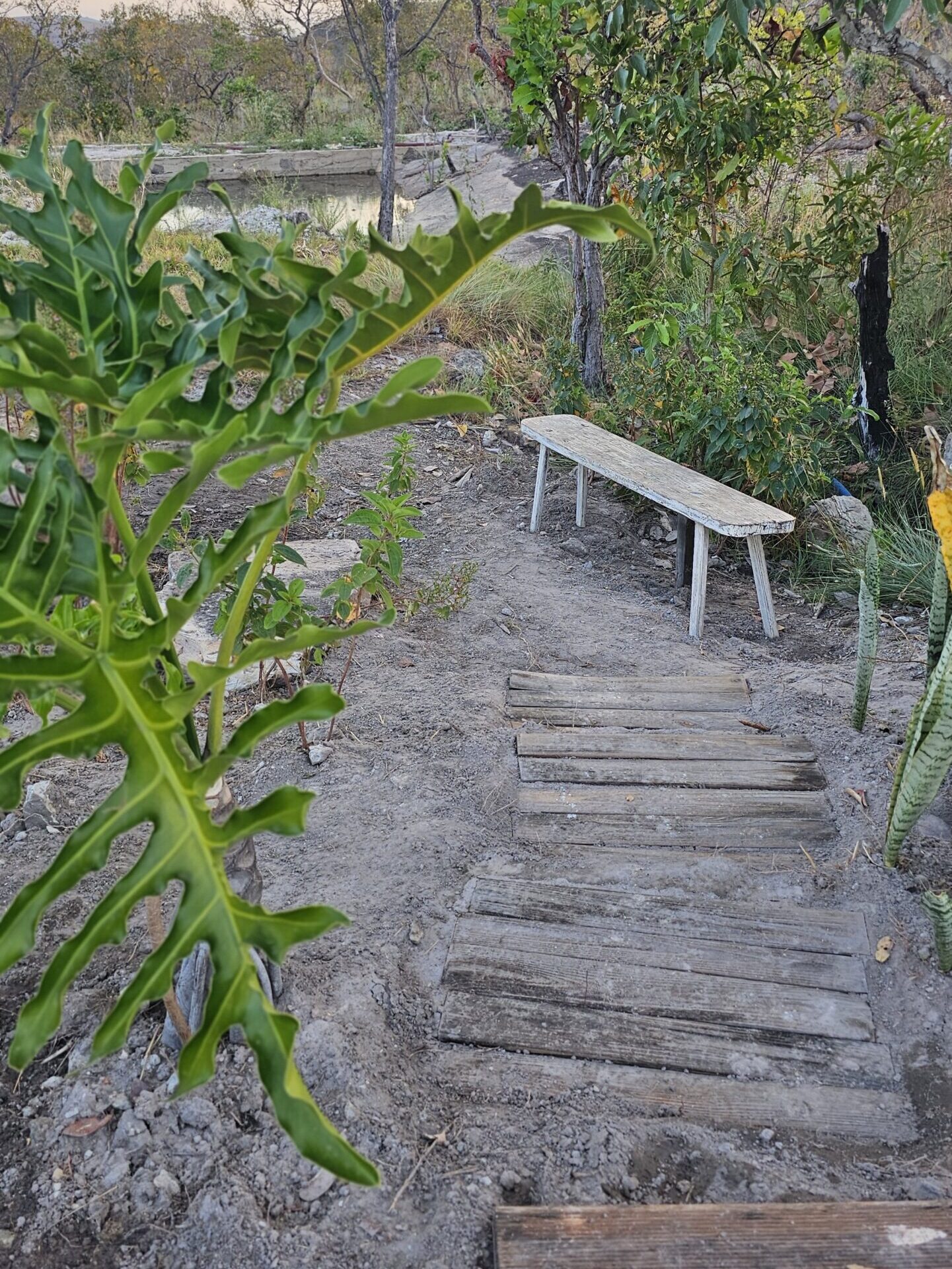 20250831_174506 - Copia