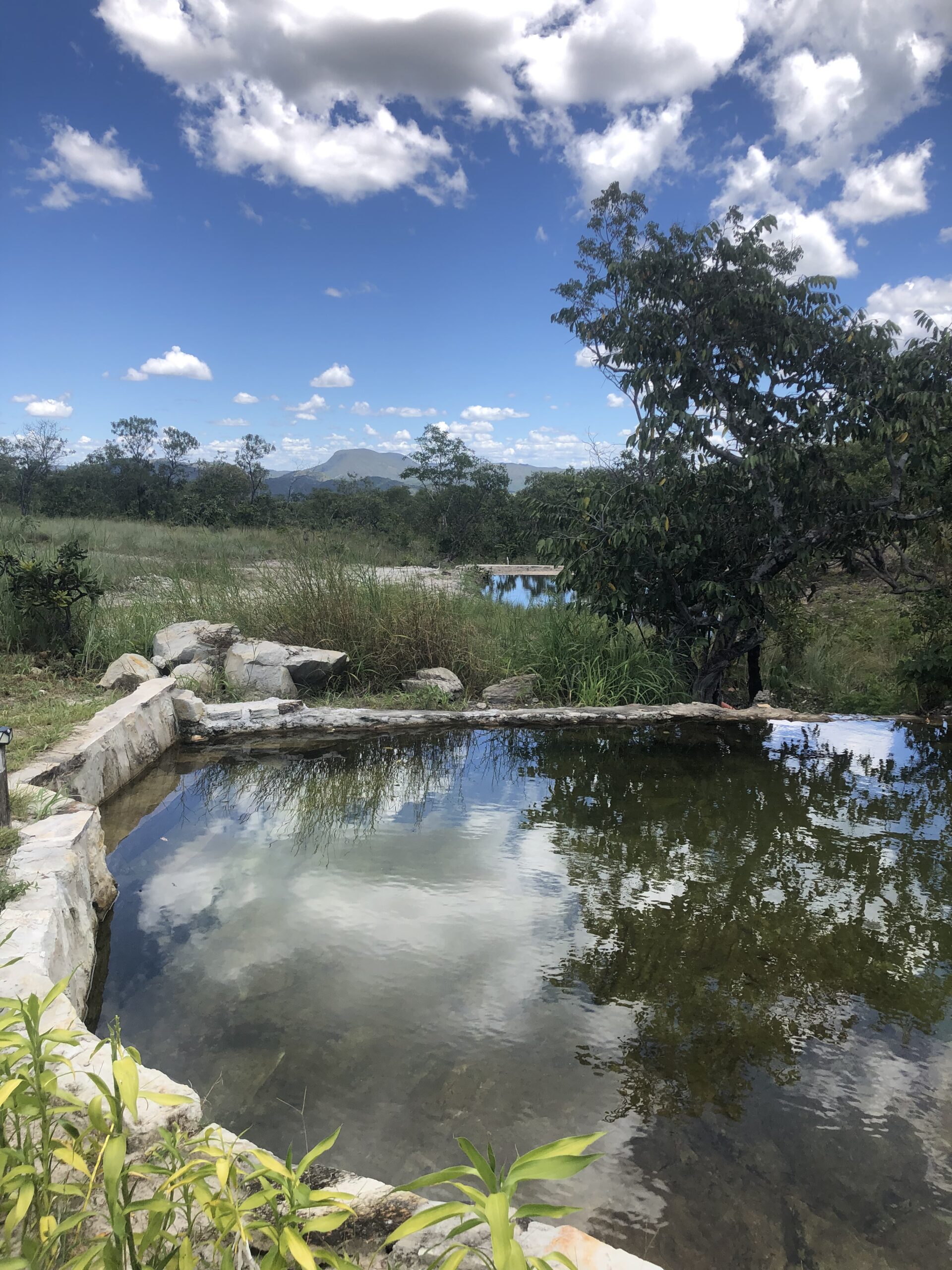 Cópia de IMG_2126 - Copia